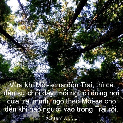 Picture 03 - Xuất Hành 33:8 VIE - Vừa khi Môi-se ra đến Trại, thì cả - Bible Verse Picture
