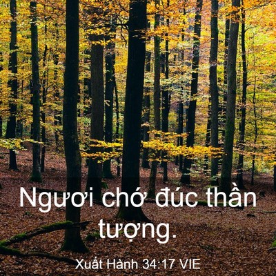 Picture 03 - Xuất Hành 34:17 VIE - Ngươi chớ đúc thần - Bible Verse Picture