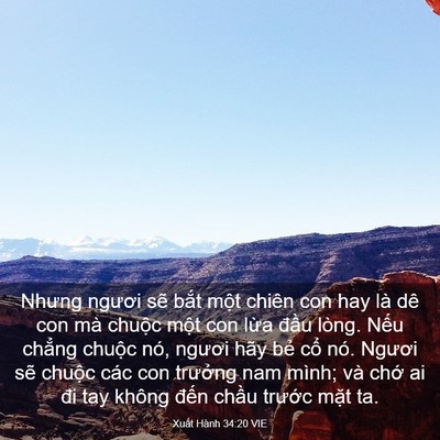 Picture 03 - Xuất Hành 34:20 VIE - Nhưng ngươi sẽ bắt một chiên con hay - Bible Verse Picture