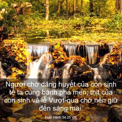 Picture 03 - Xuất Hành 34:25 VIE - Ngươi chớ dâng huyết của con sinh tế - Bible Verse Picture