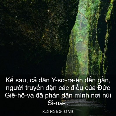 Picture 03 - Xuất Hành 34:32 VIE - Kế sau, cả dân Y-sơ-ra-ên đến gần, - Bible Verse Picture