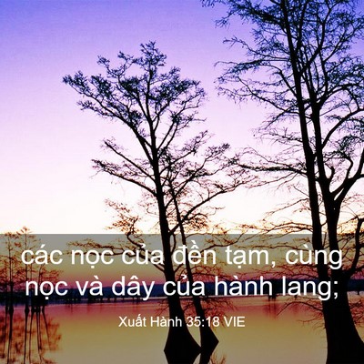 Picture 03 - Xuất Hành 35:18 VIE - các nọc của đền tạm, cùng nọc và - Bible Verse Picture