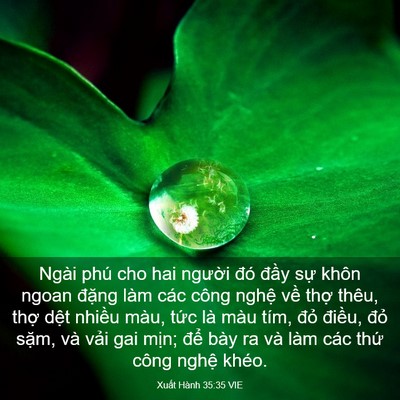 Picture 03 - Xuất Hành 35:35 VIE - Ngài phú cho hai người đó đầy sự - Bible Verse Picture