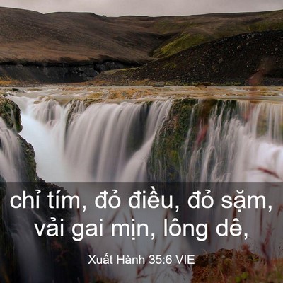 Picture 03 - Xuất Hành 35:6 VIE - chỉ tím, đỏ điều, đỏ sặm, vải gai - Bible Verse Picture