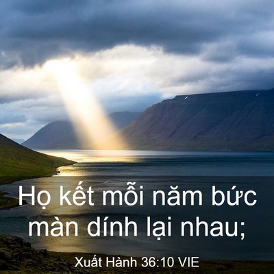 Picture 03 - Xuất Hành 36:10 VIE - Họ kết mỗi năm bức màn dính lại - Bible Verse Picture