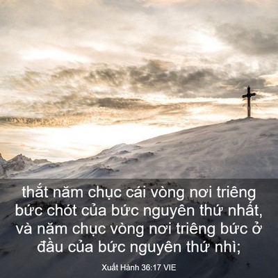 Picture 03 - Xuất Hành 36:17 VIE - thắt năm chục cái vòng nơi triêng bức - Bible Verse Picture