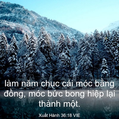 Picture 03 - Xuất Hành 36:18 VIE - làm năm chục cái móc bằng đồng, móc - Bible Verse Picture