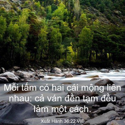 Picture 03 - Xuất Hành 36:22 VIE - Mỗi tấm có hai cái mộng liên nhau: cả - Bible Verse Picture