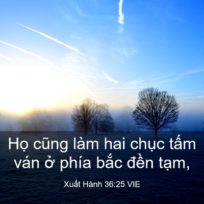 Picture 03 - Xuất Hành 36:25 VIE - Họ cũng làm hai chục tấm ván ở phía - Bible Verse Picture