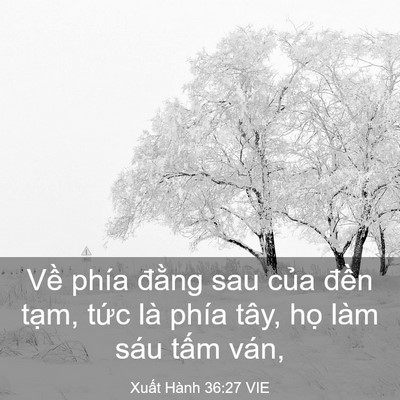 Picture 03 - Xuất Hành 36:27 VIE - Về phía đằng sau của đền tạm, tức - Bible Verse Picture