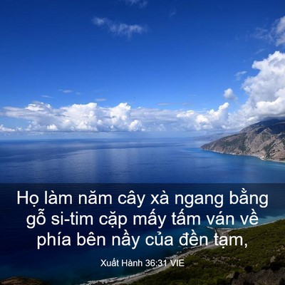 Picture 03 - Xuất Hành 36:31 VIE - Họ làm năm cây xà ngang bằng gỗ si-tim - Bible Verse Picture