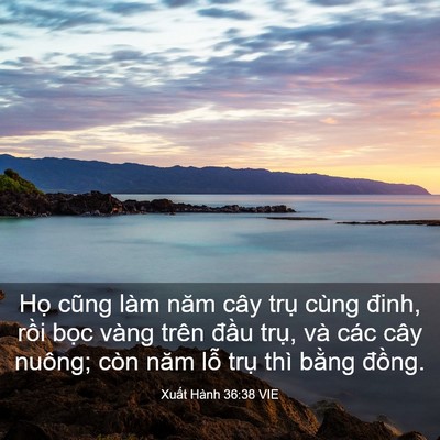 Picture 03 - Xuất Hành 36:38 VIE - Họ cũng làm năm cây trụ cùng đinh, - Bible Verse Picture