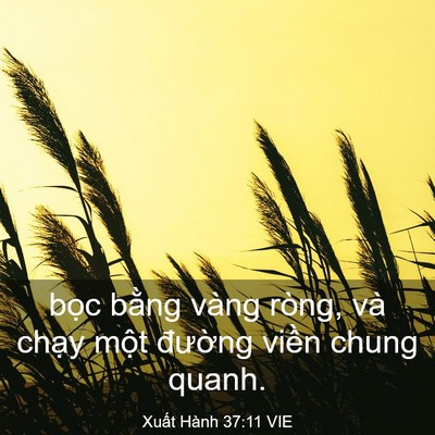 Picture 03 - Xuất Hành 37:11 VIE - bọc bằng vàng ròng, và chạy một - Bible Verse Picture