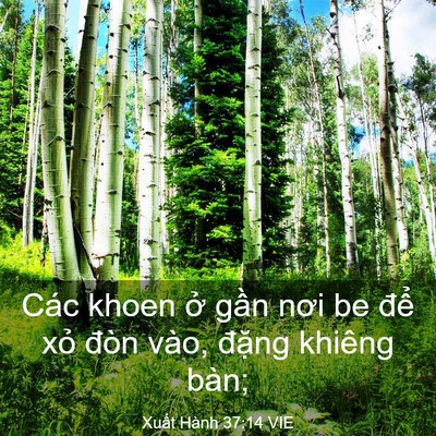 Picture 03 - Xuất Hành 37:14 VIE - Các khoen ở gần nơi be để xỏ đòn - Bible Verse Picture