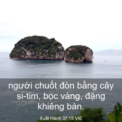 Picture 03 - Xuất Hành 37:15 VIE - người chuốt đòn bằng cây si-tim, bọc - Bible Verse Picture