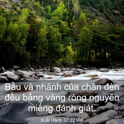 Picture 03 - Xuất Hành 37:22 VIE - Bầu và nhánh của chân đèn đều bằng - Bible Verse Picture