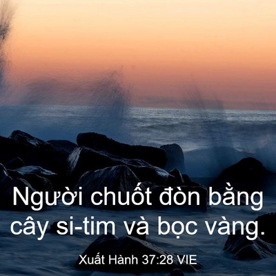 Picture 03 - Xuất Hành 37:28 VIE - Người chuốt đòn bằng cây si-tim và - Bible Verse Picture