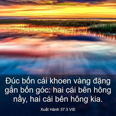 Picture 03 - Xuất Hành 37:3 VIE - Đúc bốn cái khoen vàng đặng gắn bốn - Bible Verse Picture