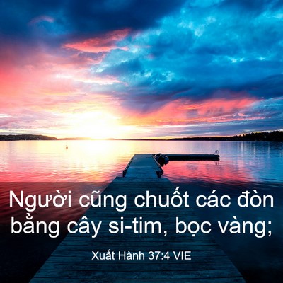 Picture 03 - Xuất Hành 37:4 VIE - Người cũng chuốt các đòn bằng cây - Bible Verse Picture
