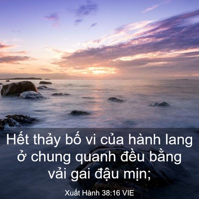 Picture 03 - Xuất Hành 38:16 VIE - Hết thảy bố vi của hành lang ở chung - Bible Verse Picture