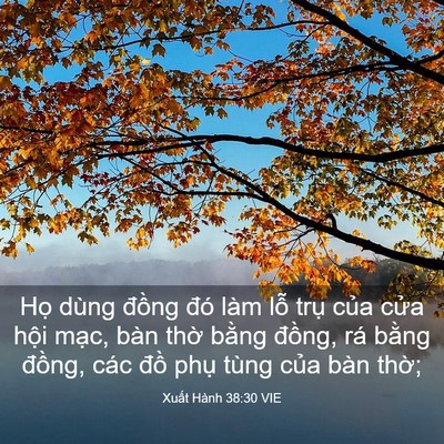 Picture 03 - Xuất Hành 38:30 VIE - Họ dùng đồng đó làm lỗ trụ của - Bible Verse Picture