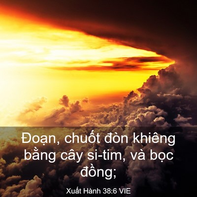 Picture 03 - Xuất Hành 38:6 VIE - Đoạn, chuốt đòn khiêng bằng cây - Bible Verse Picture