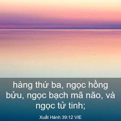 Picture 03 - Xuất Hành 39:12 VIE - hàng thứ ba, ngọc hồng bửu, ngọc - Bible Verse Picture