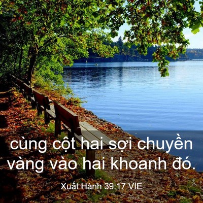 Picture 03 - Xuất Hành 39:17 VIE - cùng cột hai sợi chuyền vàng vào hai - Bible Verse Picture