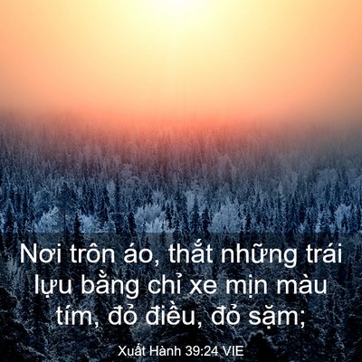 Picture 03 - Xuất Hành 39:24 VIE - Nơi trôn áo, thắt những trái lựu bằng - Bible Verse Picture