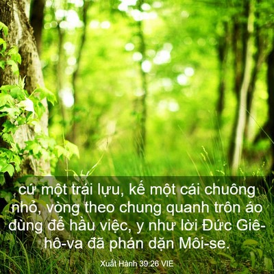 Picture 03 - Xuất Hành 39:26 VIE - cứ một trái lựu, kế một cái chuông - Bible Verse Picture