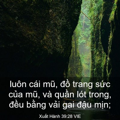 Picture 03 - Xuất Hành 39:28 VIE - luôn cái mũ, đồ trang sức của mũ, và - Bible Verse Picture