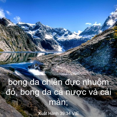 Picture 03 - Xuất Hành 39:34 VIE - bong da chiên đực nhuộm đỏ, bong da cá - Bible Verse Picture