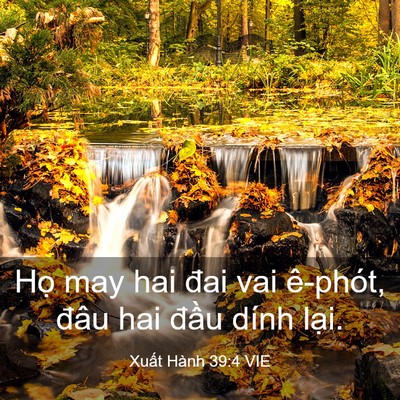 Picture 03 - Xuất Hành 39:4 VIE - Họ may hai đai vai ê-phót, đâu hai đầu - Bible Verse Picture