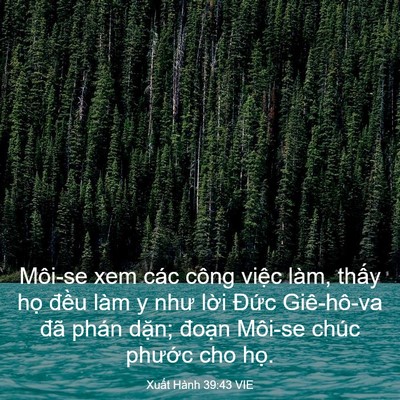 Picture 03 - Xuất Hành 39:43 VIE - Môi-se xem các công việc làm, thấy họ - Bible Verse Picture