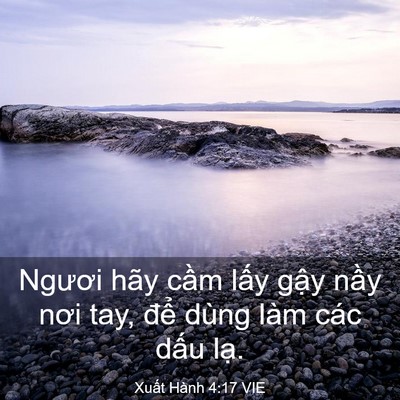 Picture 03 - Xuất Hành 4:17 VIE - Ngươi hãy cầm lấy gậy nầy nơi tay, - Bible Verse Picture