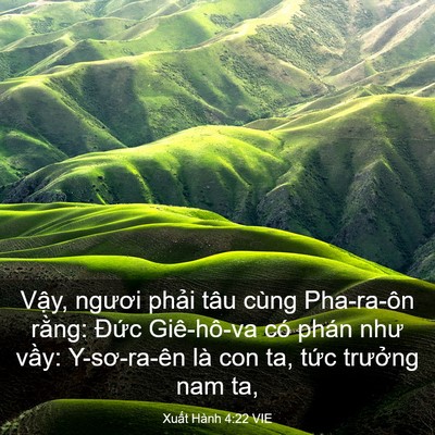 Picture 03 - Xuất Hành 4:22 VIE - Vậy, ngươi phải tâu cùng Pha-ra-ôn - Bible Verse Picture