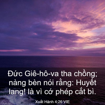 Picture 03 - Xuất Hành 4:26 VIE - Đức Giê-hô-va tha chồng; nàng bèn nói - Bible Verse Picture