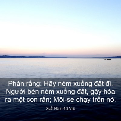 Picture 03 - Xuất Hành 4:3 VIE - Phán rằng: Hãy ném xuống đất đi. - Bible Verse Picture