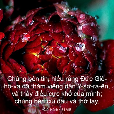 Picture 03 - Xuất Hành 4:31 VIE - Chúng bèn tin, hiểu rằng Đức Giê-hô-va - Bible Verse Picture
