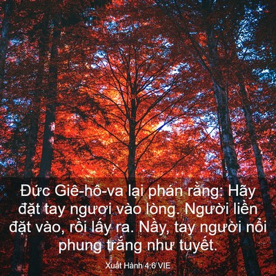 Picture 03 - Xuất Hành 4:6 VIE - Đức Giê-hô-va lại phán rằng: Hãy - Bible Verse Picture