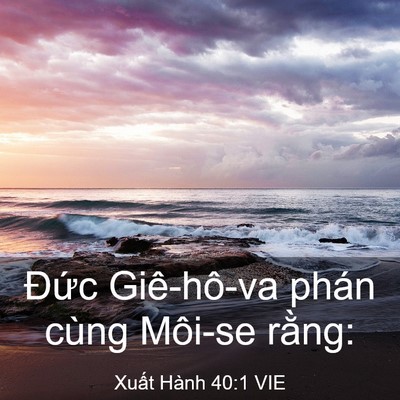 Picture 03 - Xuất Hành 40:1 VIE - Đức Giê-hô-va phán cùng Môi-se - Bible Verse Picture