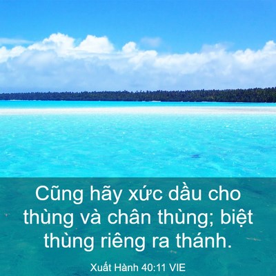 Picture 03 - Xuất Hành 40:11 VIE - Cũng hãy xức dầu cho thùng và chân - Bible Verse Picture