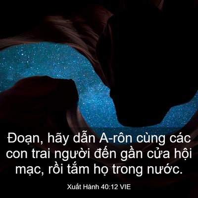 Picture 03 - Xuất Hành 40:12 VIE - Đoạn, hãy dẫn A-rôn cùng các con trai - Bible Verse Picture