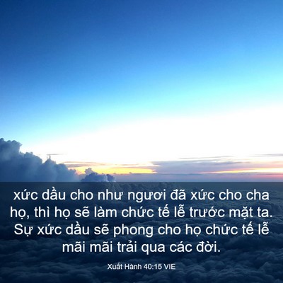 Picture 03 - Xuất Hành 40:15 VIE - xức dầu cho như ngươi đã xức cho cha - Bible Verse Picture