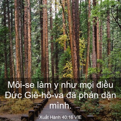 Picture 03 - Xuất Hành 40:16 VIE - Môi-se làm y như mọi điều Đức - Bible Verse Picture