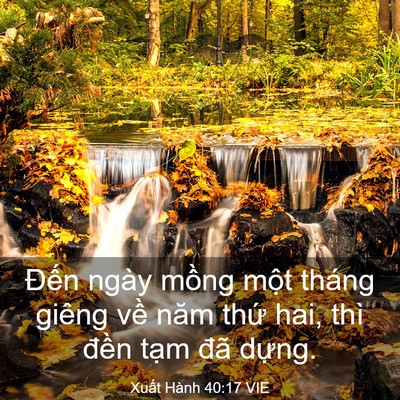 Picture 03 - Xuất Hành 40:17 VIE - Đến ngày mồng một tháng giêng về năm - Bible Verse Picture