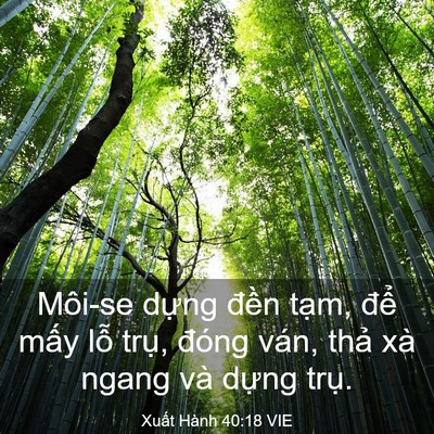 Picture 03 - Xuất Hành 40:18 VIE - Môi-se dựng đền tạm, để mấy lỗ - Bible Verse Picture