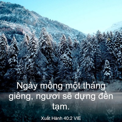 Picture 03 - Xuất Hành 40:2 VIE - Ngày mồng một tháng giêng, ngươi sẽ - Bible Verse Picture