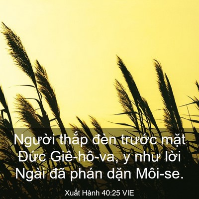 Picture 03 - Xuất Hành 40:25 VIE - Người thắp đèn trước mặt Đức - Bible Verse Picture