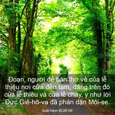 Picture 03 - Xuất Hành 40:29 VIE - Đoạn, người để bàn thờ về của - Bible Verse Picture